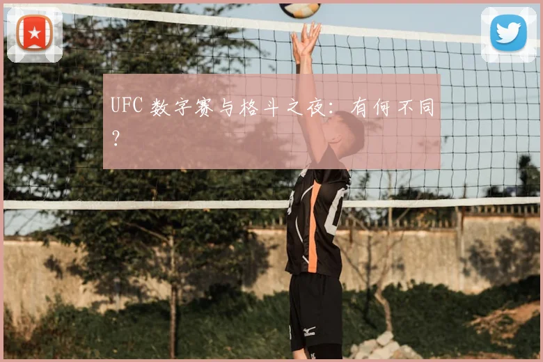 UFC 数字赛与格斗之夜:有何不同?