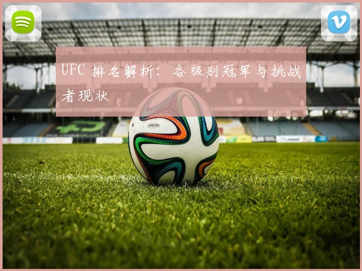 UFC 排名解析:各级别冠军与挑战者现状