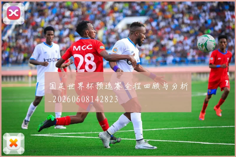 国足世界杯预选赛全程回顾与分析_20260608142823