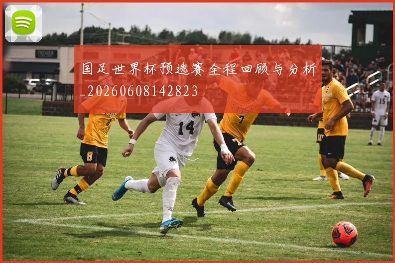 国足世界杯预选赛全程回顾与分析_20260608142823
