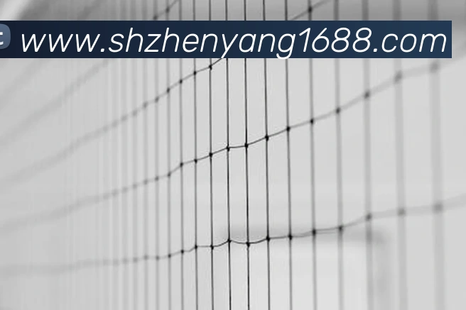 奖项2
